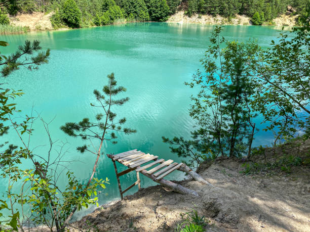 Explore the Untamed Beauty of Kolkheti National Park: A Guide to Visiting Georgia's Natural Treasure