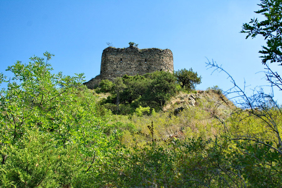 Armazi Citadel: A Journey Through Time in Georgia