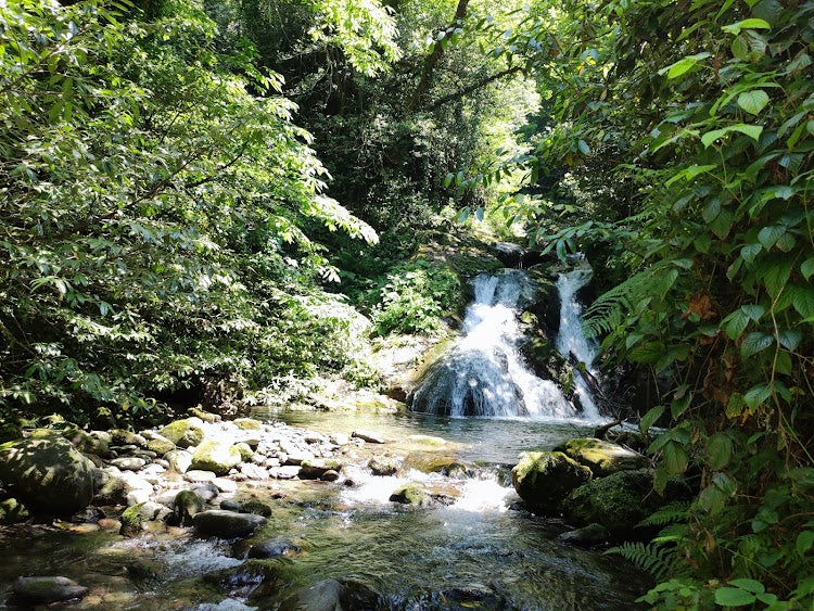 Tskhemvani Waterfall: A Breathtaking Cascade in Georgia's Lush Caucasus Mountains