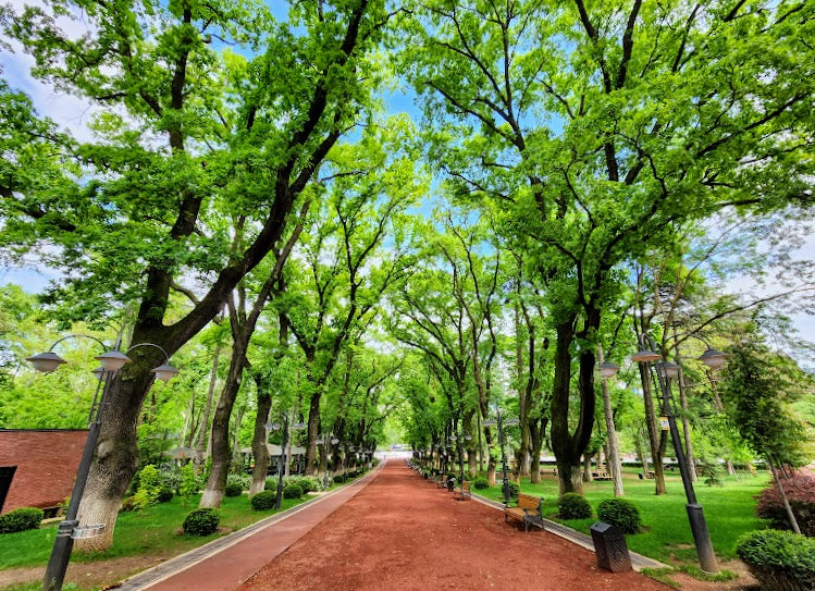 Vake Park: A Green Oasis in the Heart of Tbilisi