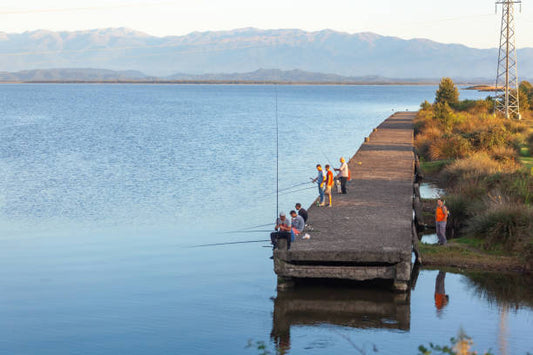 Exploring the Beauty of Paliastomi Lake