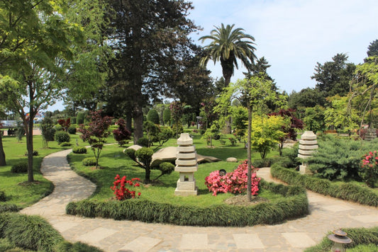 The Japanese Garden: A Tranquil Oasis of Nature and Harmony