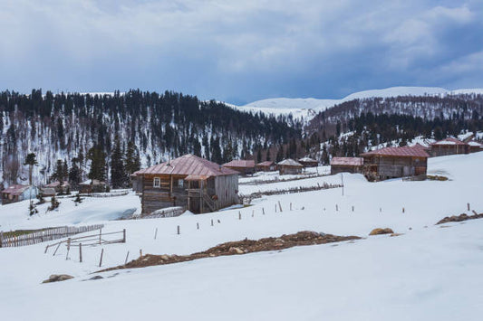 Exploring the Beauty of Bakhmaro Ski Resort