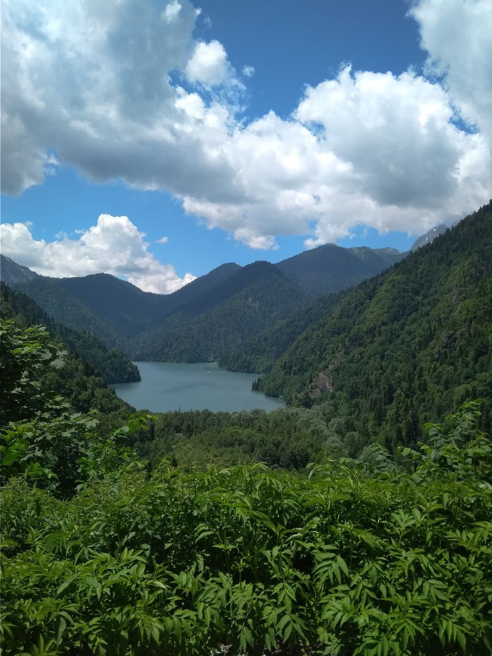 Ritsa Relict National Park: A Hidden Gem of the Caucasus