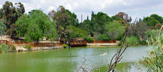 Eqadia Forest Park: A Breath of Fresh Air in the Heart of Tbilisi