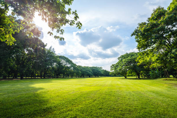 Tskneti Park (წყნეთის პარკი): A Tranquil Oasis in Tbilisi