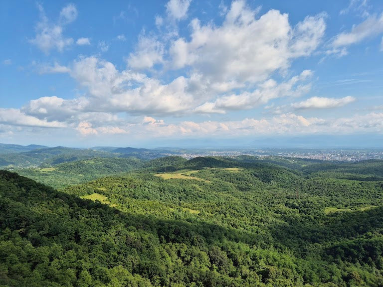 Sataplia Nature Reserve: Discover Georgia's Hidden Gem