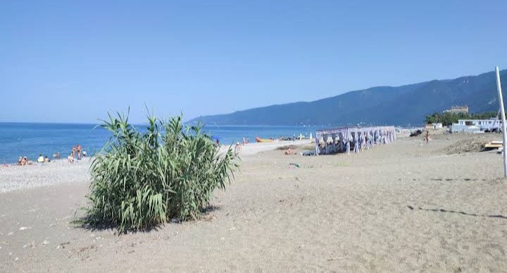 Gagra Beach: A Jewel of the Black Sea Coast