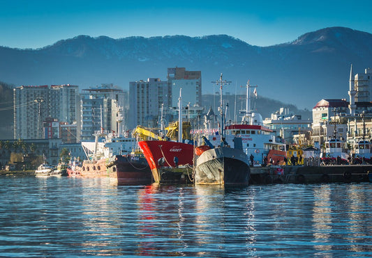 Georgian Borders Seaport